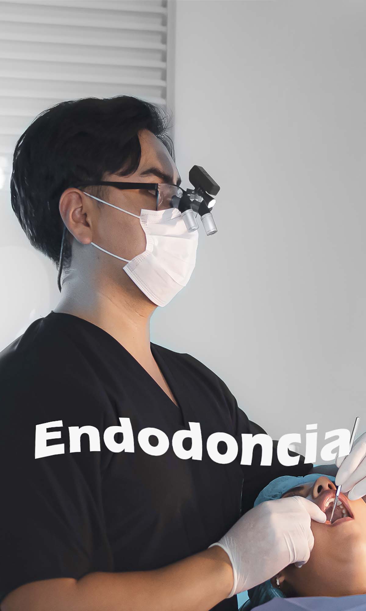 Endodoncia